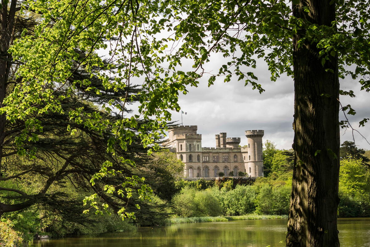 The Great British Dog Walk - Eastnor Castle