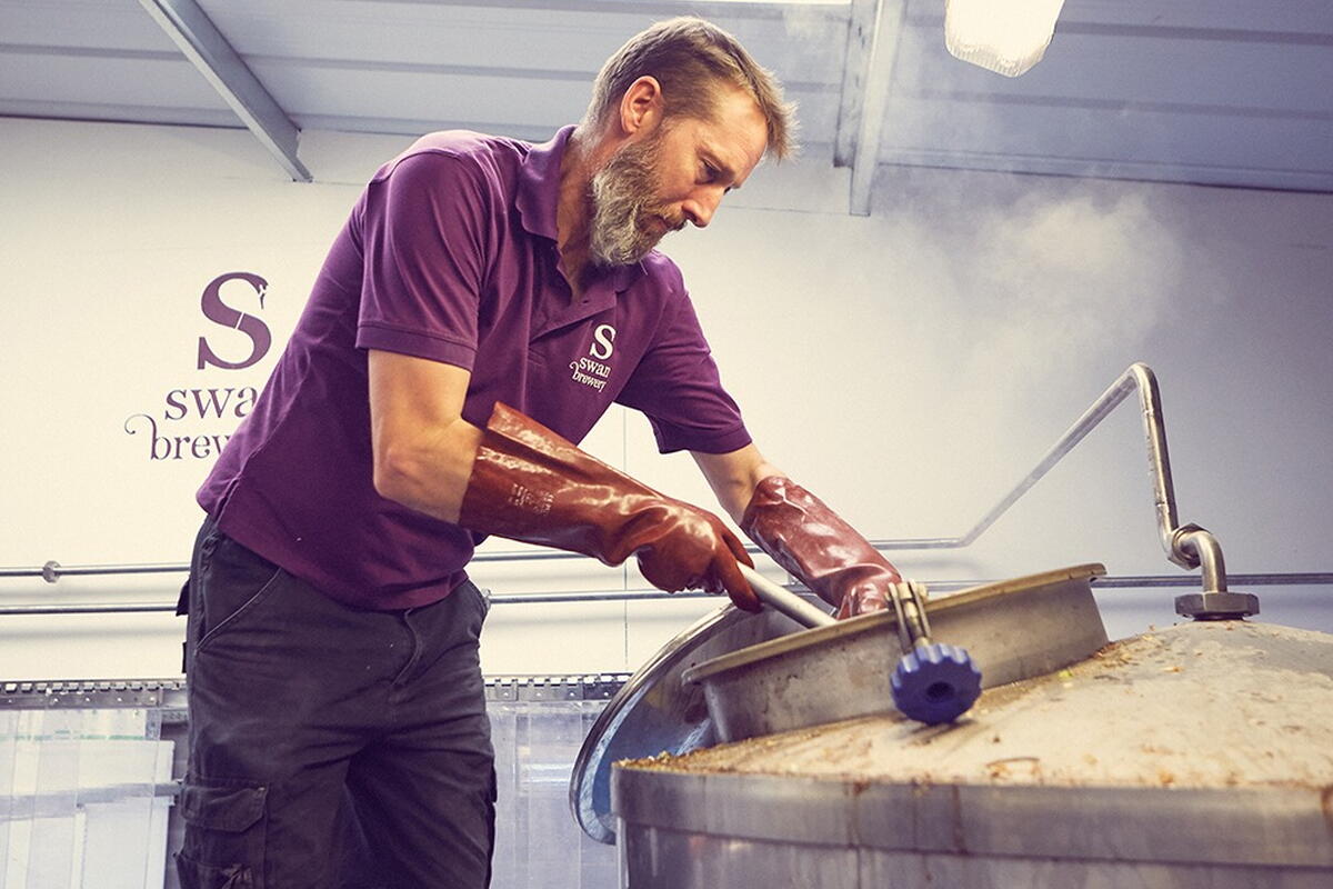 Learn about the brewing process