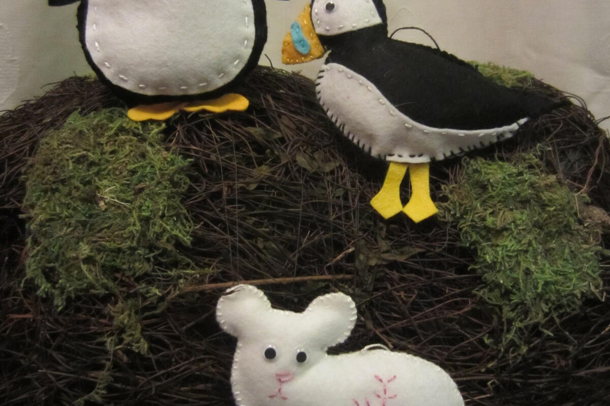 From Polar Bears to Penguins