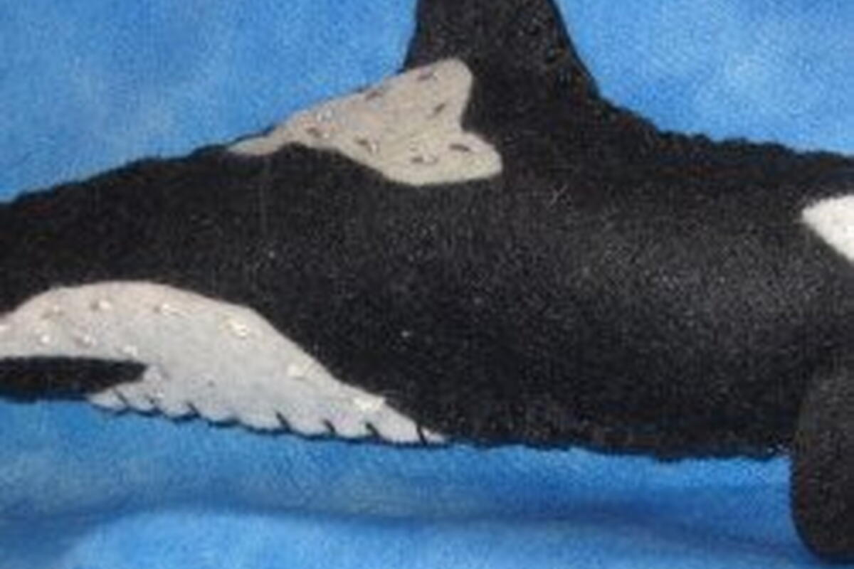 Orca