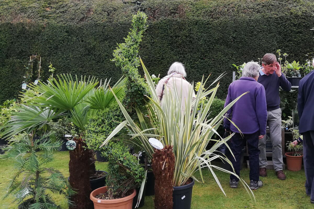 Broxwood Plants