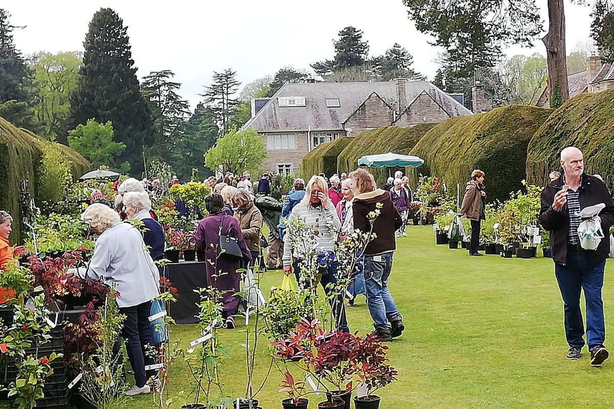 Broxwood Plants
