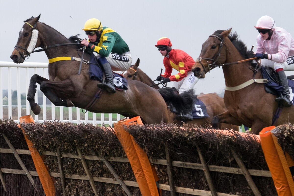 Three Horses Jumping