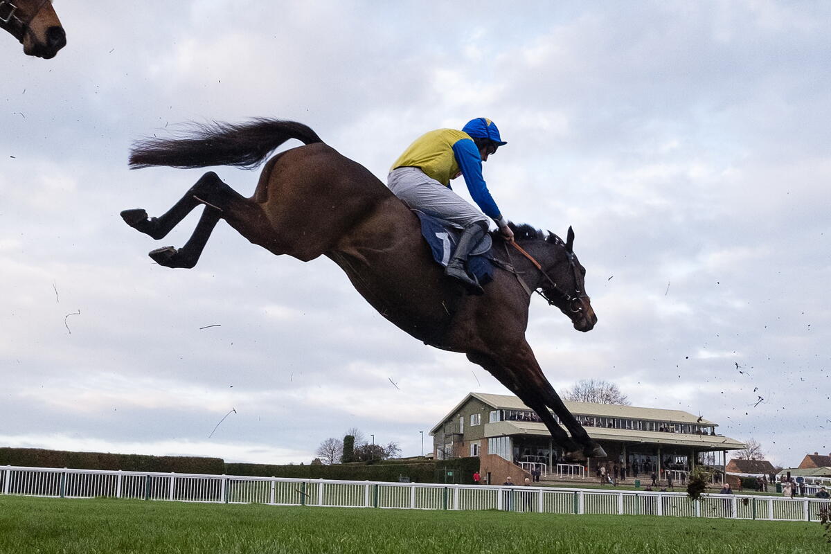 Horse Jumping