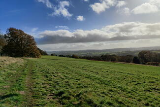 Bromyard Downs Walk
