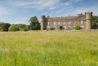 Buttercup meadow leading up to Croft castle