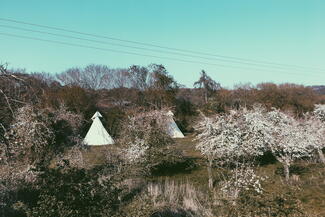 white house glamping