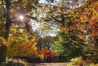 Queenswood Country Park