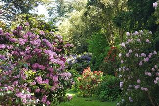 Hedge Croft Gardens 