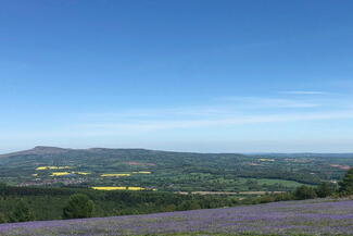 Hill-top view from climbing the Jack trail in Mortimer Forest