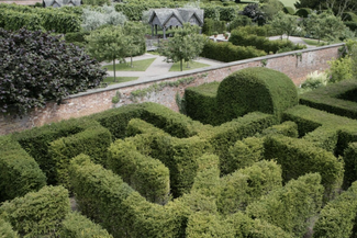 Hampton Court Castle Yew Maze