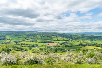 Golden View of Merbach Hill 