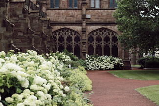 Hereford Cathedral