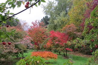 Moors Meadow Gardens