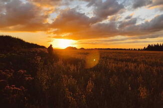 golden hour herefordshire