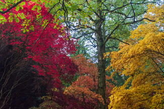 Queenswood Country Park