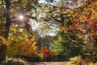 Queenswood Arboretum