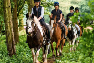 Noakes Farm Riding Centre