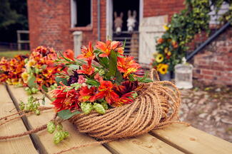 autumnal flowers