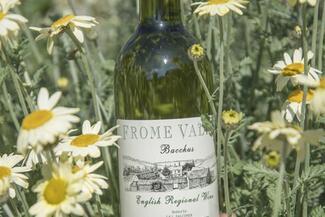 frome valley bacchus