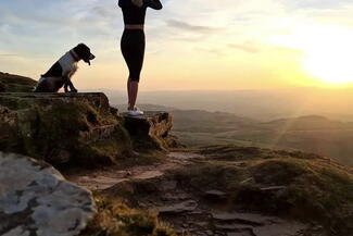 Bonnie the Springer Hay Bluff