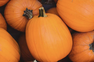 pumpkin pete's