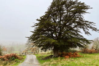 EASTNOR DEER PARK