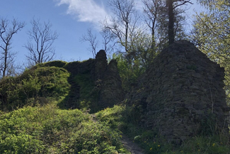 Richard's Castle Ruins