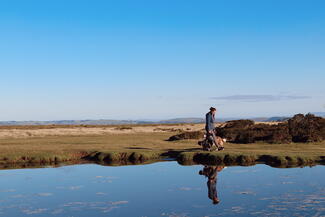 Walking Hergest Ridge