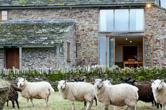 Converted barn with sheep outside