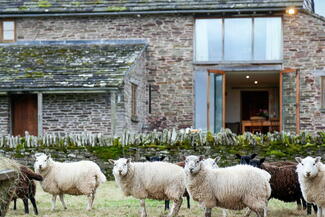 Converted barn with sheep outside