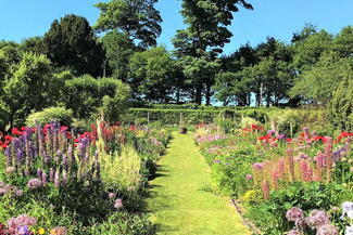 Grass walkway through colourful flowers in summer