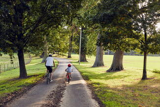 Cycling down a lane