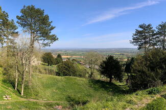 Views over Richards Castle overgrown ramparts 