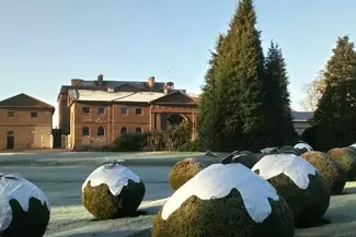 Round bushes dressed up as christmas puddings outside National Trust Berrington Hall