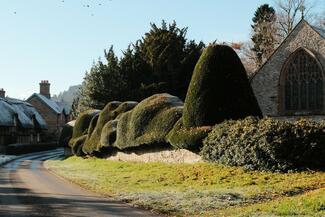 Cloud shaped hedge at brampton bryan village