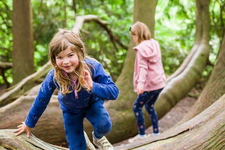 Children playing on logs