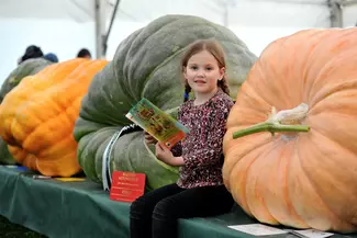 girl with pumpkins