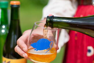 pouring a glass of cider