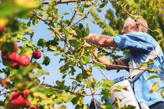 butford organics