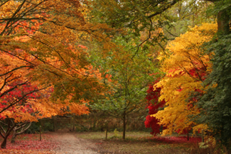 Queenswood Country Park 