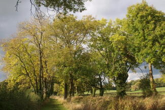 Yarkhill, Canal