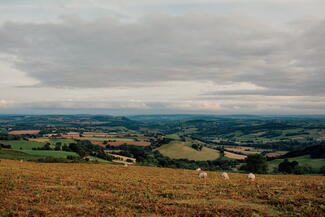 Brian Hatton Landscape