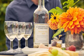 wine and glasses on table
