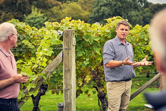vineyard tour