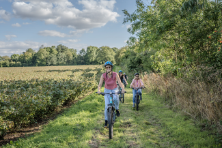 Cycling through fields