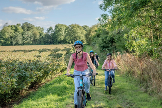 E-bike vineyard tour at The White Heron Estate