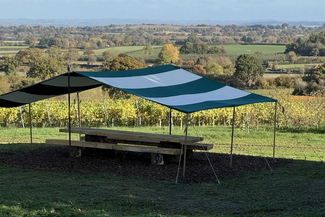 Vineyard feasting table at The White Heron Estate