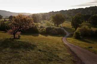 Eastnor deer park landscape