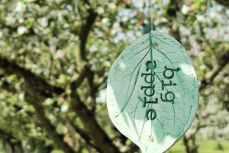 big apple sign hanging in a blossom filled orchard